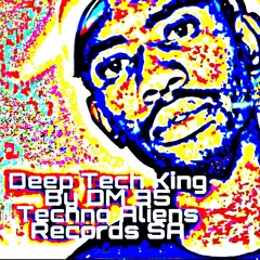 DM 95-Deep Tech King(Original mix).mp3
