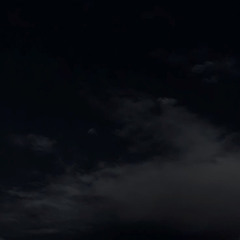 فرحين بما اتاهم الله من فضله