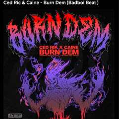 BURN DEM - CED RIC FT CAINE (BADBOI BEAT) - NOVACAINE REMIX V4