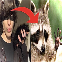 DARKROMUALD EN A VU D CHOOOOOSES ((((；ﾟДﾟ)))))))