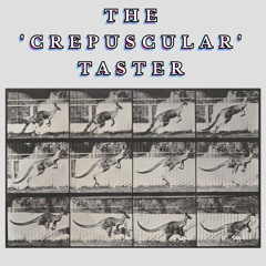 Feelin' Dumber Every Day