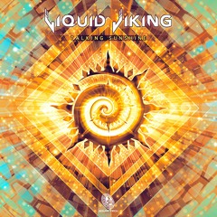 Track 3. Liquid Viking - Celerity
