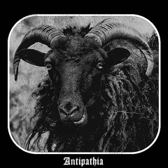 MMXIII - ANTIPATHIA