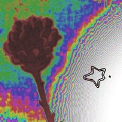 lonely plant