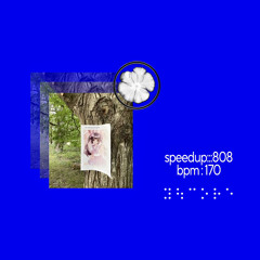 speedup:::808
