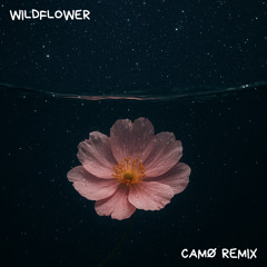 WILDFLOWER (CAMØ Remix)