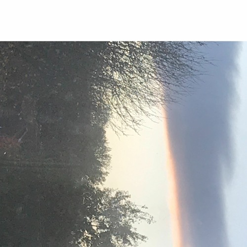 empty perfume bottle