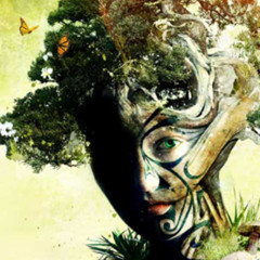 Photosynthesis Festival 5 - Saturday July 21, 2012