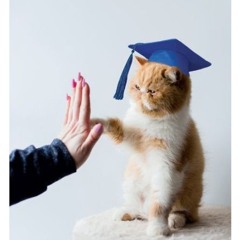Birthday / Graduation Rager Mix