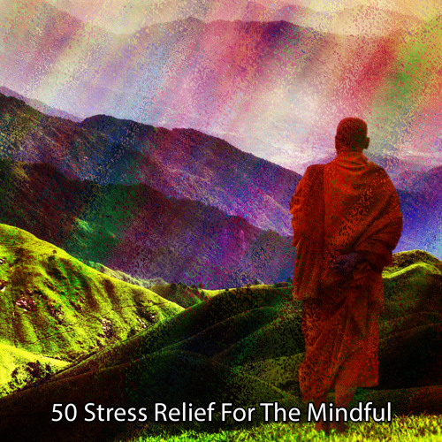 Stream Asian Zen Meditation | Listen to 50 Stress Relief For The ...