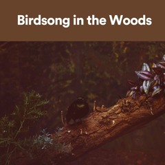 Woodpeckers