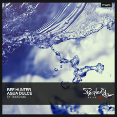 Bee Hunter - Agua Dulce (Extended Mix)