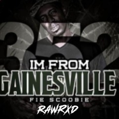 Gainesville - Fie Scoobie (RAWRXD REMIX)