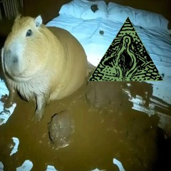 sranie do etheru