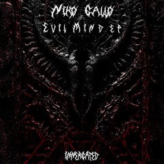 Premiere: Nikø Gallø - Noise in My Head [INNERGATED]