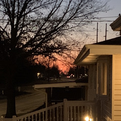 Sani Savage - one last time.m4a