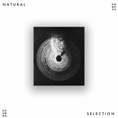 Natural Selection