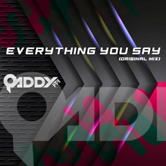 Everything You Say (Original Mix) *Free Download*