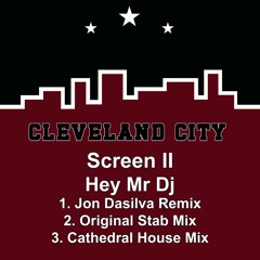 Hey Mr DJ (Stab Mix)