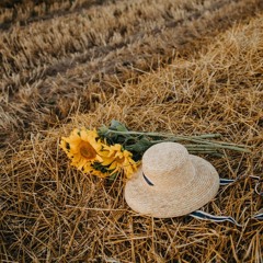 Summer Ends