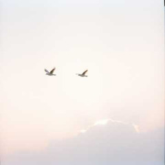 Dj.DamianR - Heaven’s Reply