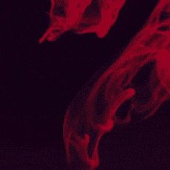 Red//Numb Violet(Demo)
