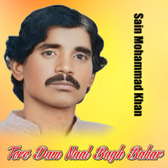 Tere Dam Naal Bagh Bahar