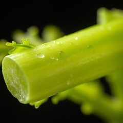 celery