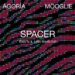 Mooglie&Agoria - Spacer (Lilian Bilotta&Bass Fly Remix)