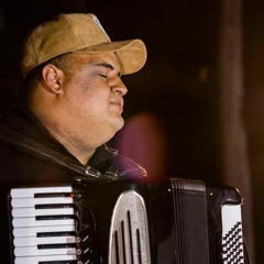 Tarcísio Do Acordeon - Tonelada de solidão