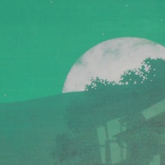 Mt. Fujitive