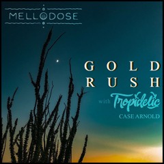 "Gold Rush (with Tropidelic & Case Arnold)
