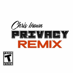 Chris Brown - Privacy remix