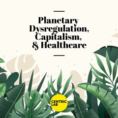 Planetary Dysregulation, Capitalism, And Healthcare | Episode 1 - Definitions
