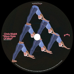 Somersault 284 (Chris Waldt) “Wave State Of Mind”