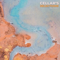 Cellar's Selections | May 13th 2024