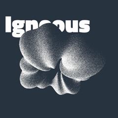 04 - Igneous