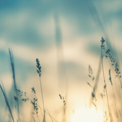 In That Day (John 14:20) / by Isaac Acosta