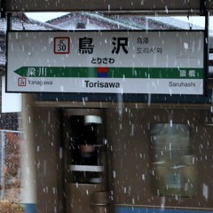 YOUKAI TORISAWA ZONE