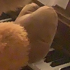 I Will Find My Friends (Thanks for 20 followers!)