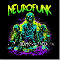 Promo mix 2025 NeUrOfUnK /ALEXXDNB