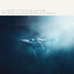 Ghost In The Loop, Le Code - Whales Daydreams (Breath, Bliss, Repeat) (Mare Nostrum Label)