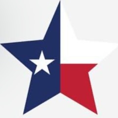 The Lone Star (Prod. MadHops) instrumental