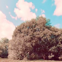 Ascension