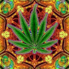 🏔🍃💨