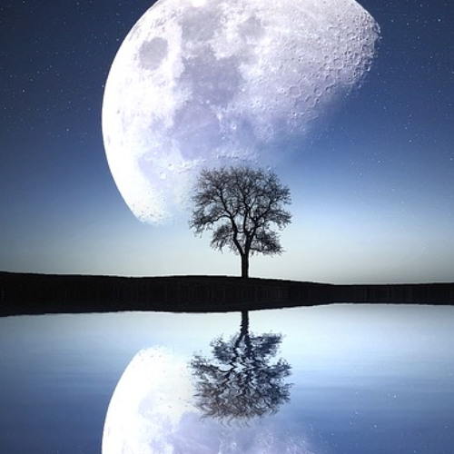 Clair de Lune