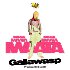 Gallawasp (Main)