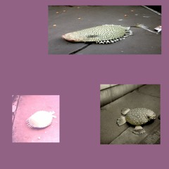 dead pufferfish on the sidewalk (unfortunately) (feat. Heave Starvey on vocals)