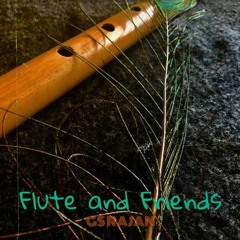 Flute and Friends