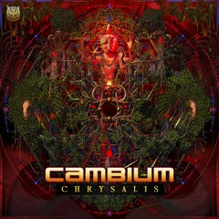 Cambium - Chrysalis
